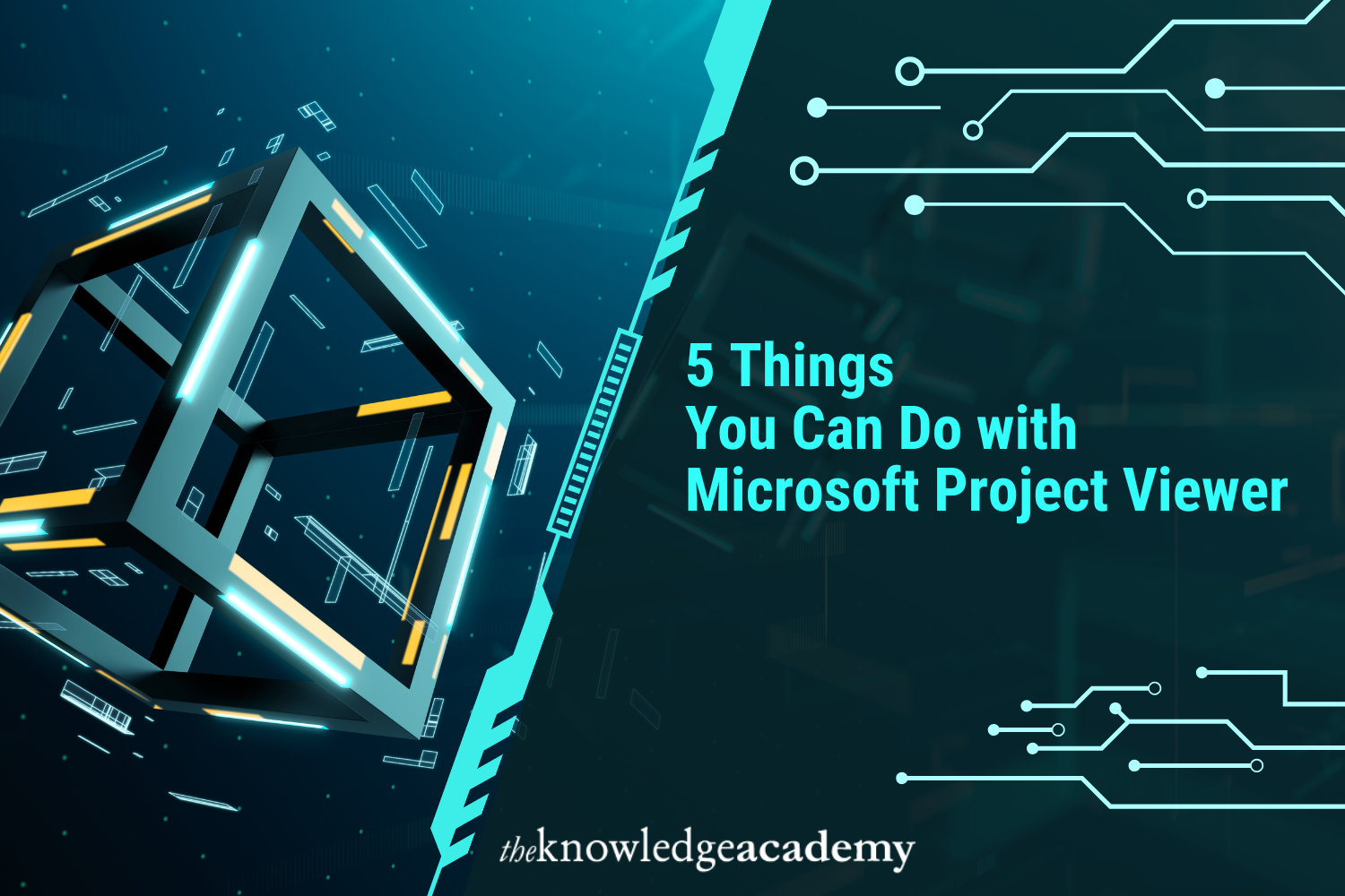5 Things You Can Do with Microsoft Project Viewer 